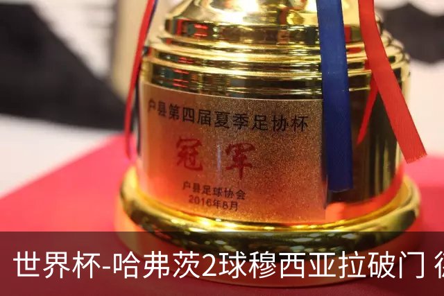 世界杯-哈弗茨2球穆西亚拉破门 德国全面开花7-1库拉索