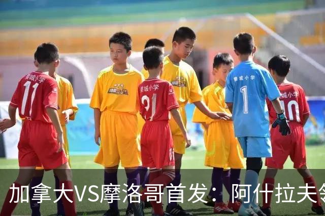 加拿大VS摩洛哥首发：阿什拉夫领衔 塞巴里配布阿迪