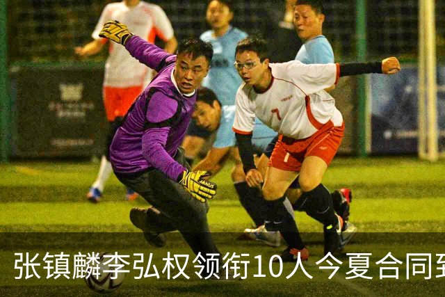 张镇麟李弘权领衔10人今夏合同到期：上海除王哲林两大顶薪花落谁家？
